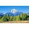 Biggies Scenes Window Well Scenes-Mountain, 100 in wide x 60 in high BG-WW-MTN-100 - alternate 1